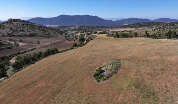 Vista de dron de la finca de Solebromino, un ejemplo de agricultura regenerativa en Andalucía