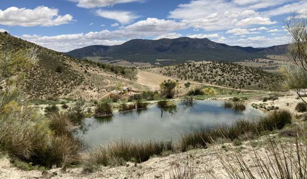 foto de una finca regenerativa en Andalucía