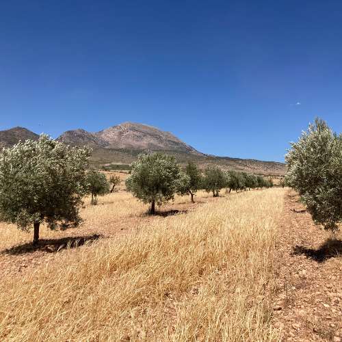 ejemplo de agricultura regenerativa en andalucia