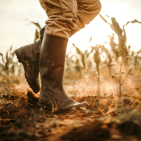 Imagen de la bota de un trabajador apasionado de la Agricultura en España